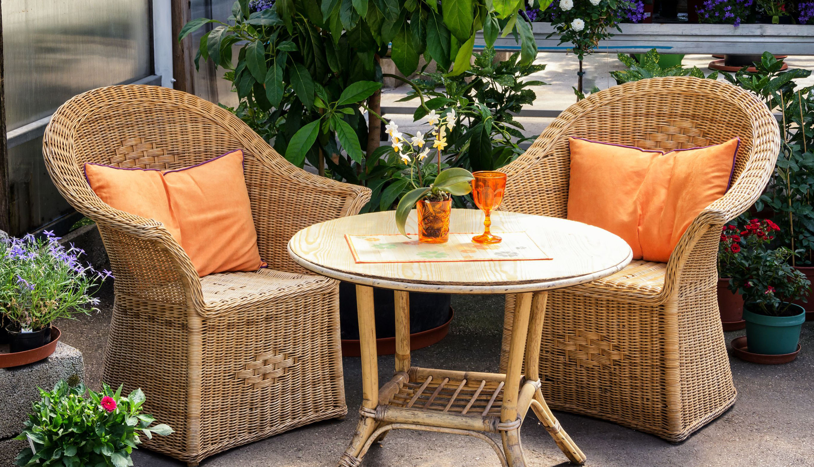 Cane Furniture Image